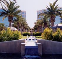 palms_corporate5_corp by Arborwell