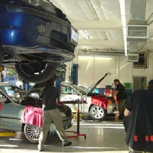  by M Service, Inc.