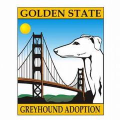 Golden State Greyhound Adoption