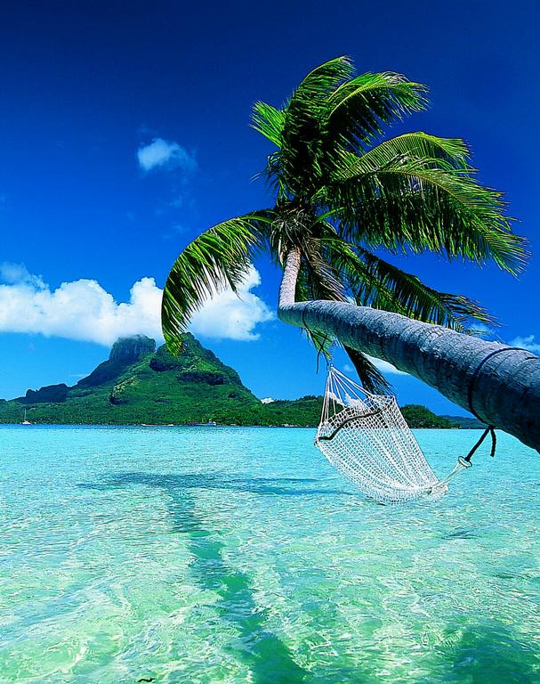 BoraBoraFaveHammockOverWater by blank