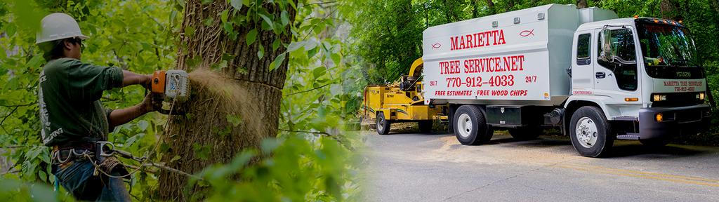  by Marietta Tree Service, Inc.