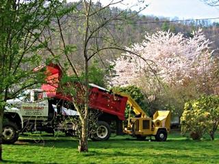 Dennis Stewart Contracting