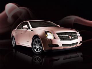 Pam Curcio-Cato Mary Kay Independent Beauty Consultant