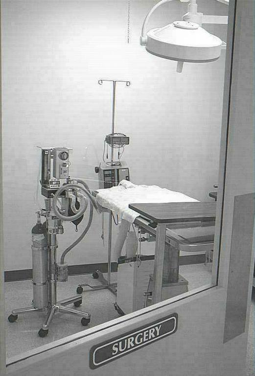 Cat Clinic of The Quad Cities Davenport IA 52807 5633552927