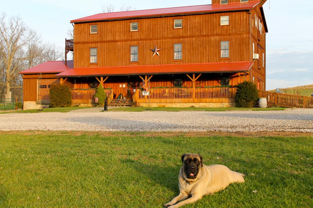 Merry Family Winery Bidwell OH 45614 7402459463 Wineries