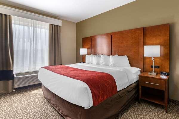  by Comfort Suites Florence I-95