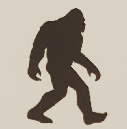  by Bigfoot Fence Company