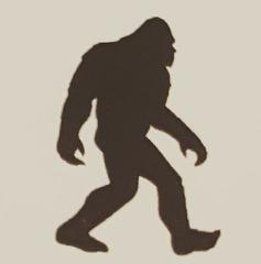 Bigfoot Fence Company