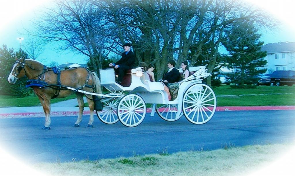 Pioneer Carriage, Stage & Wagon Lines Andover KS 67002 3167330614