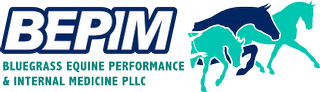 Bluegrass Equine Performance & Internal Medicine PLLC