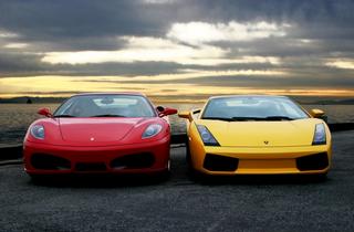 i95 Exotics