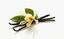 Watkins: Independent Watkins Associate MiMI Bee #390631