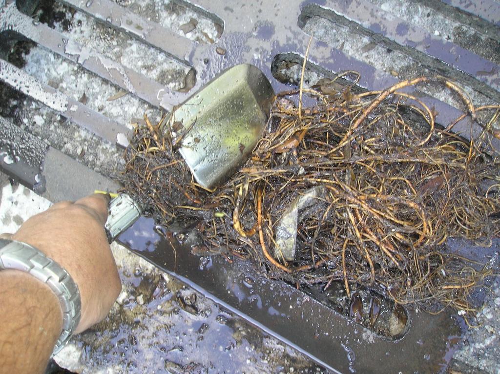 Sewer Storm Drain plumbing Comtractor orlando central florida by Jet Rooter Plumbing Sewer & Drain Cleaning