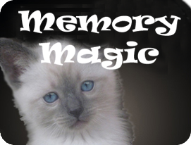 Memory Magic