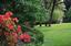 Cutting Edge Landscaping