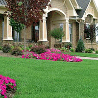 green-lawn by Cutting Edge Landscaping