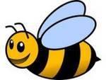 A Bee Farms - SAVE THE BEES - Live Bee Removal