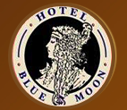 Hotel Blue Moon NYC