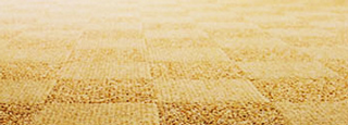 Cali Carpet & Upholstery Cleaning