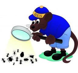Willard's Pest Control