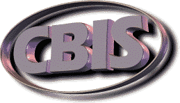 Computer & Business Information System