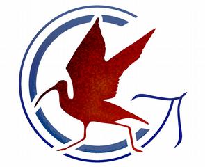 Curlew Graphics
