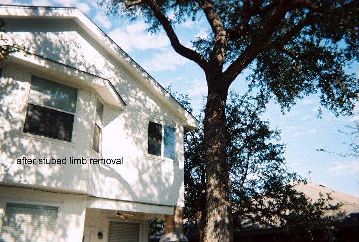  by Pickled Tree Service