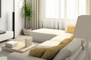 Suds Cleaning Services