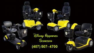 Bumblebee Scooter Rentals