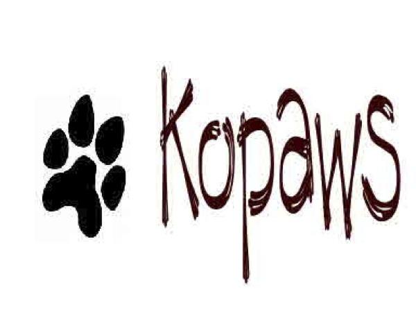 Untitled by Kopaws