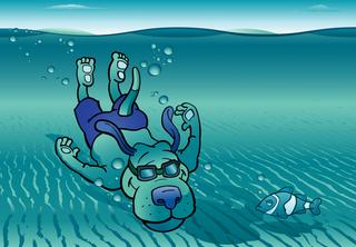 Water Dogs, LLC Commercial Pools Service & Maintenance
