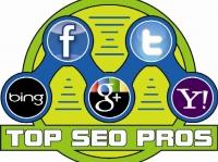 Top SEO Pros