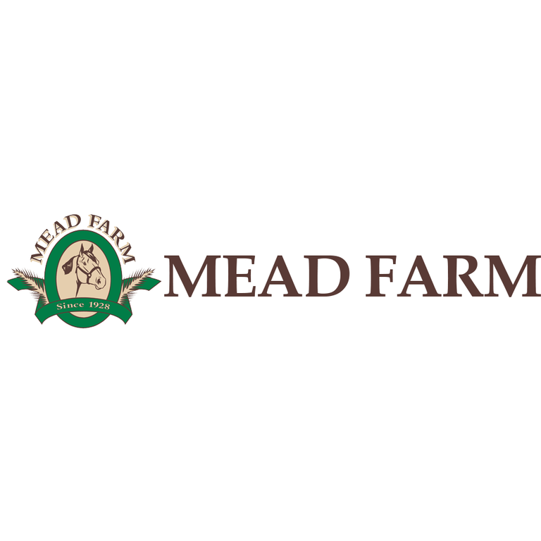 Mead Farm Stamford CT 06903 8669069598 Horse Boarding Stables