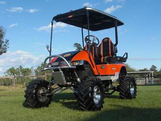 Diesel's Custom Carts