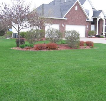 Our full service weed and feed will keep you lawn healthier and greener all year long. by Yard Pro