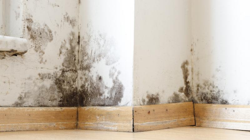 Our local crew is proud to offer prompt and effective disaster restoration services. by Expert Restoration Construction