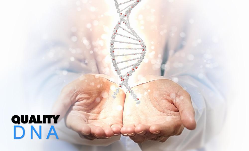 photo04 by Quality DNA Tests