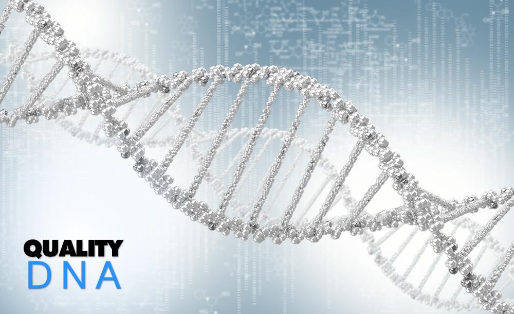 photo03 by Quality DNA Tests