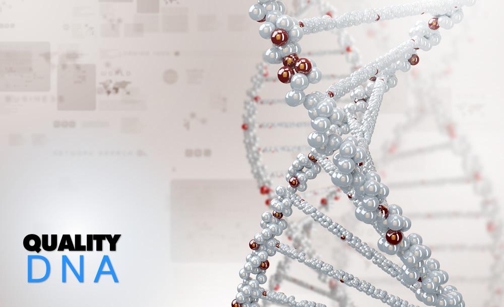 photo06 by Quality DNA Tests