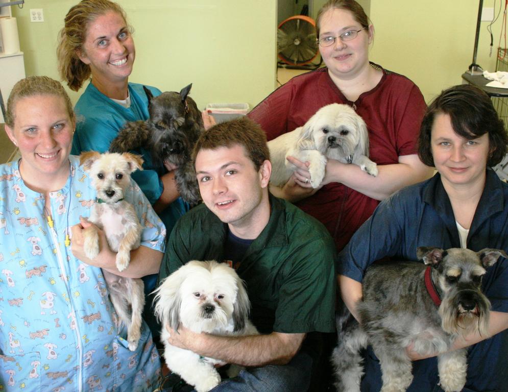 Aurora Pet Grooming Aurora CO 80014 7208890489 Dog Grooming