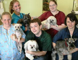 Aurora Pet Grooming