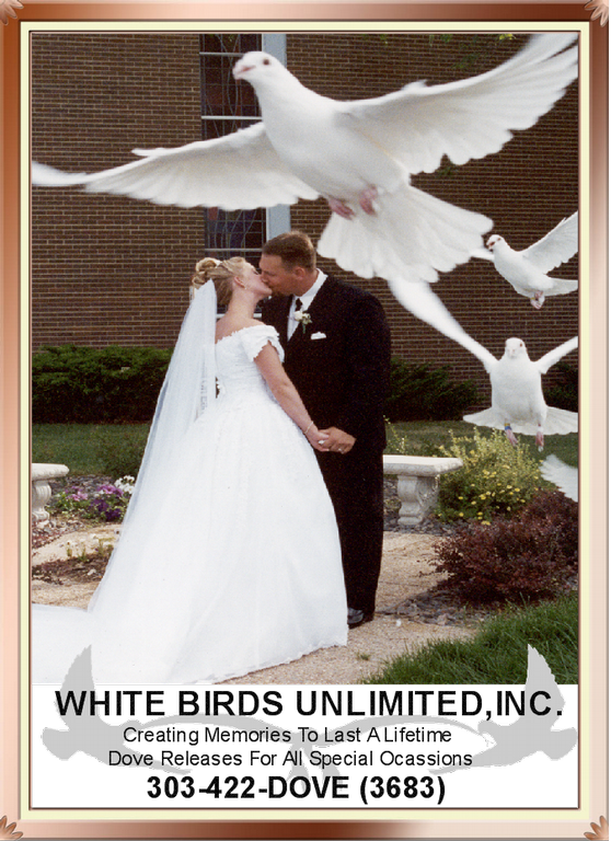 white birds unlimited arvada co 80002 303 422 3683 white birds unlimited arvada co 80002 303 422 3683