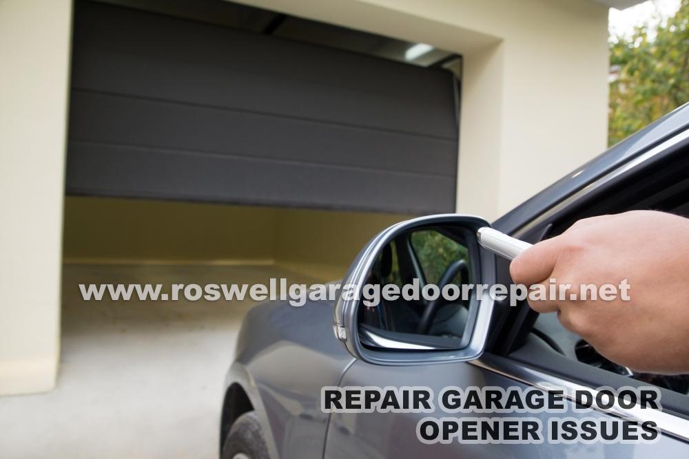  by Roswell Garage Door Repair