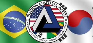 Fusion Martial Arts School