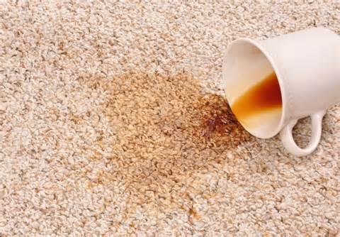 Specializing in Natural Carpet Cleaning by Naturally Green