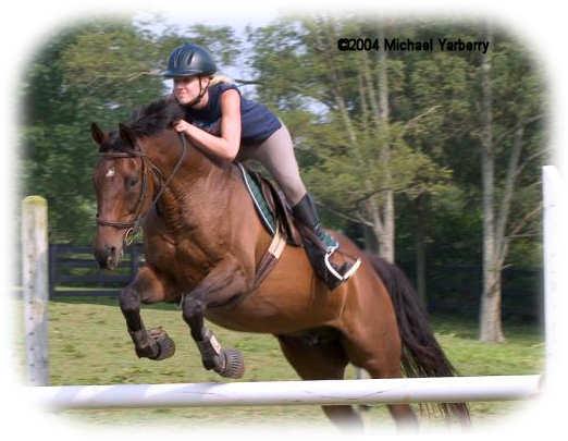 Rhonda Jumping Sheridan Front View by Sunburst Horsemanship Center