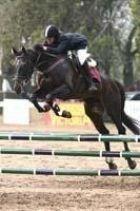 Rose and Zeus 2010.jpg by Sunburst Horsemanship Center
