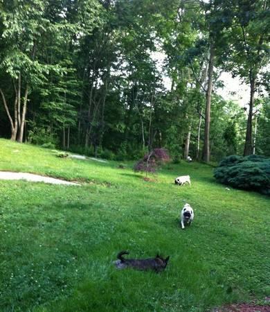 Pawsitively Petastic, LLC