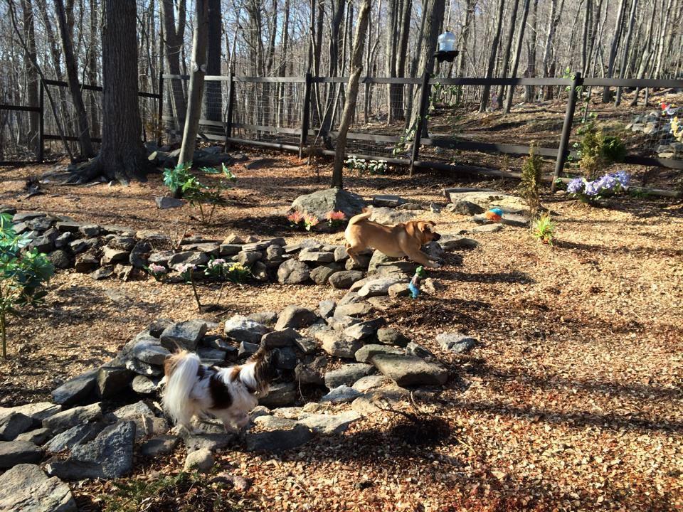 Pawsitively Petastic, LLC