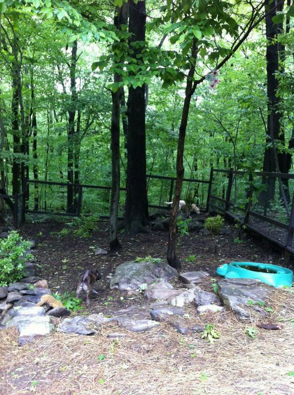 Pawsitively Petastic, LLC